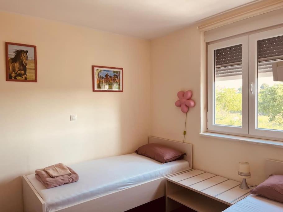 Apartmán Mima Pula Exteriér fotografie