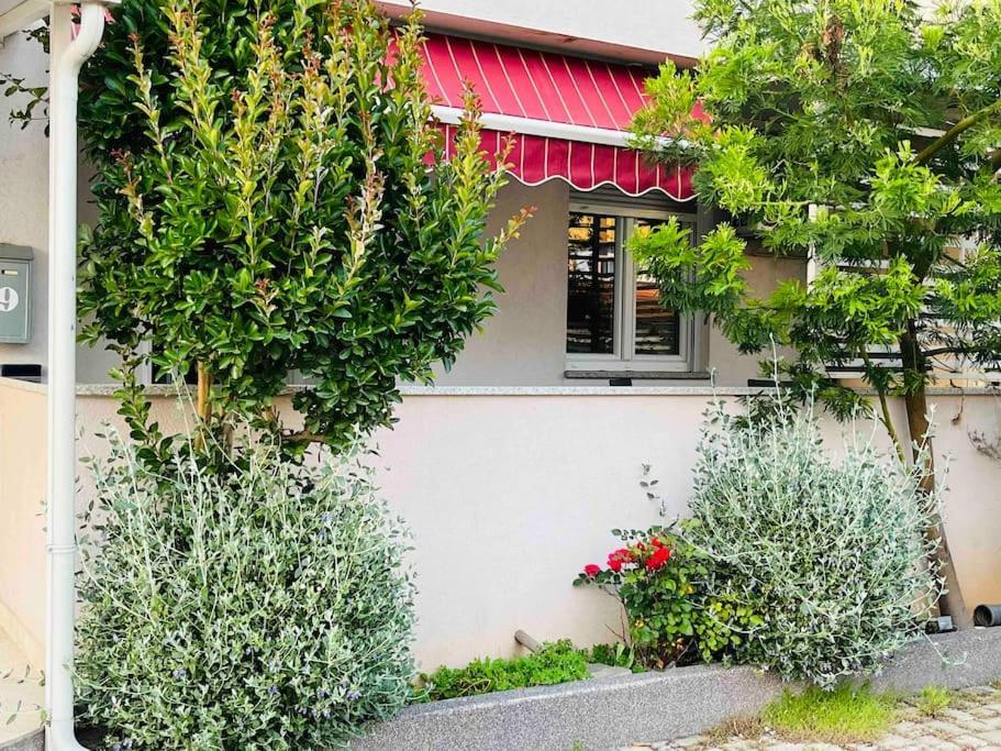 Apartmán Mima Pula Exteriér fotografie